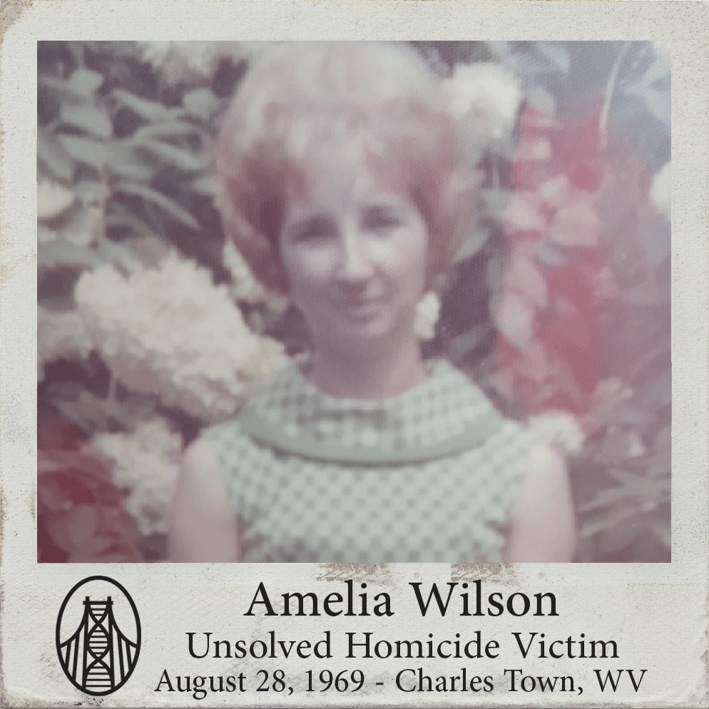 Amelia Wilson